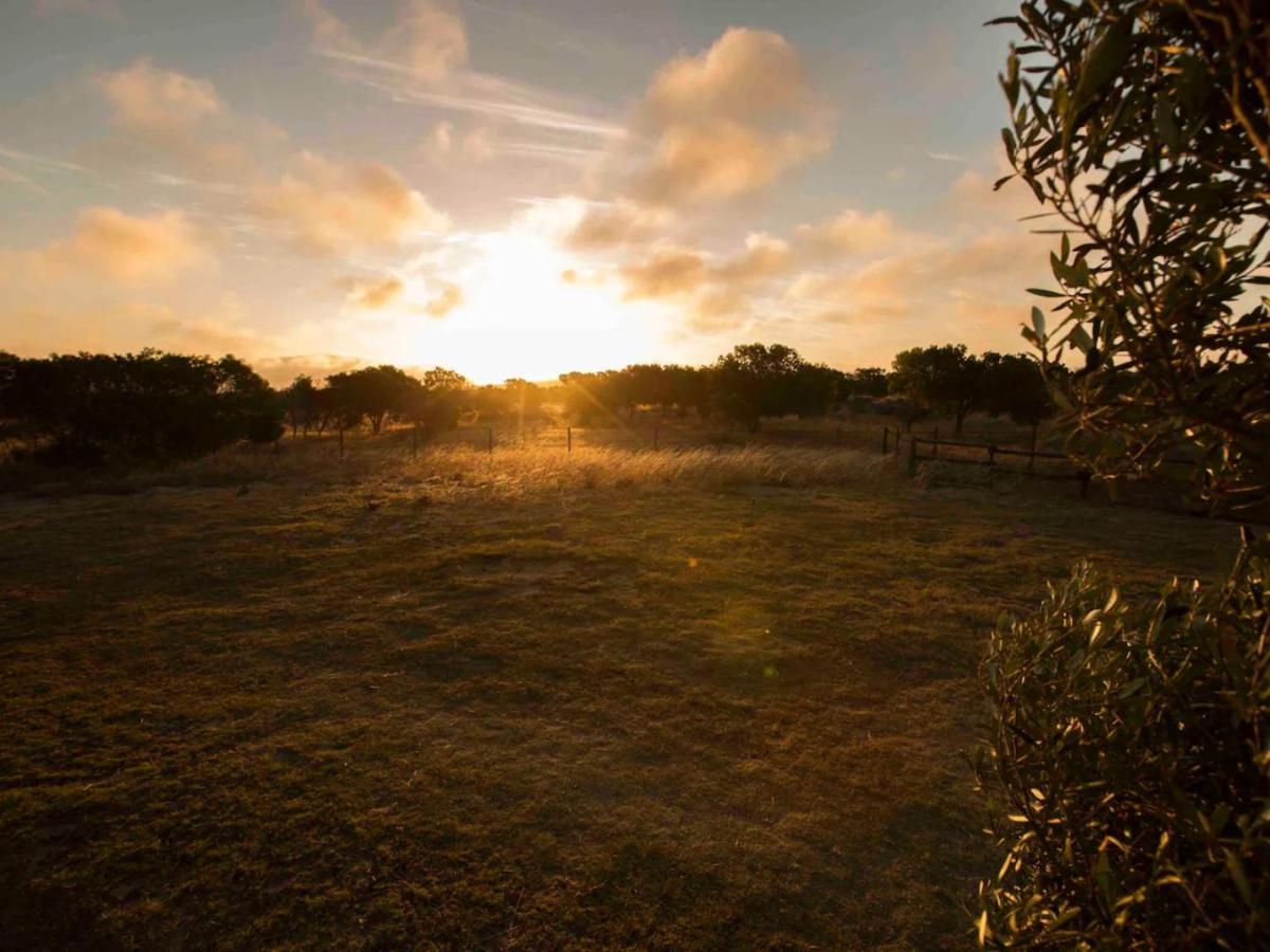 A Touch Of Bushveld By The Sea Appartement